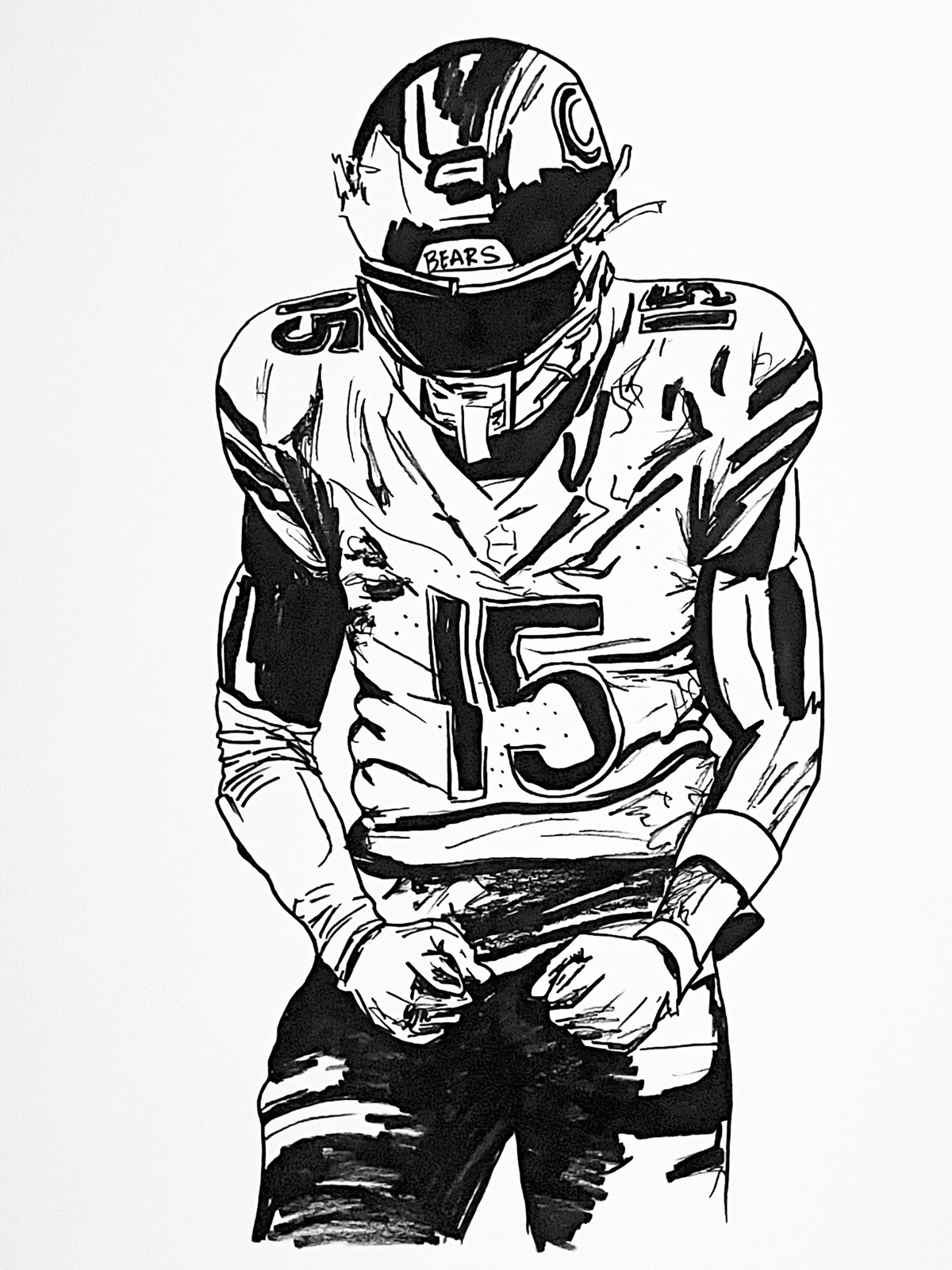 Bears - 15