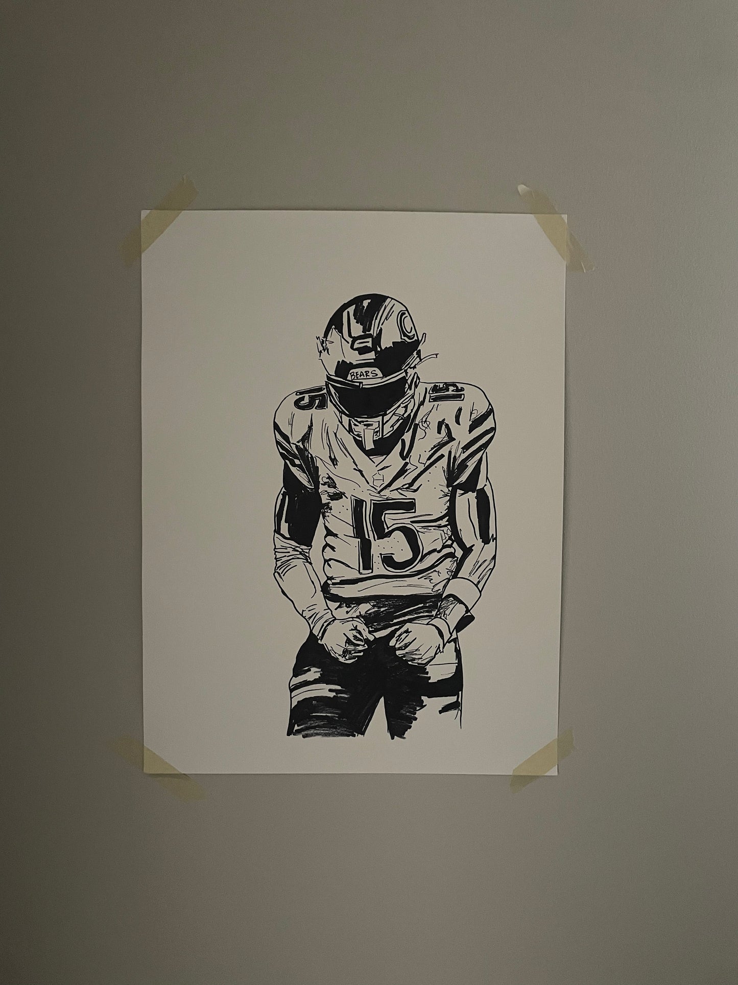 Bears - 15