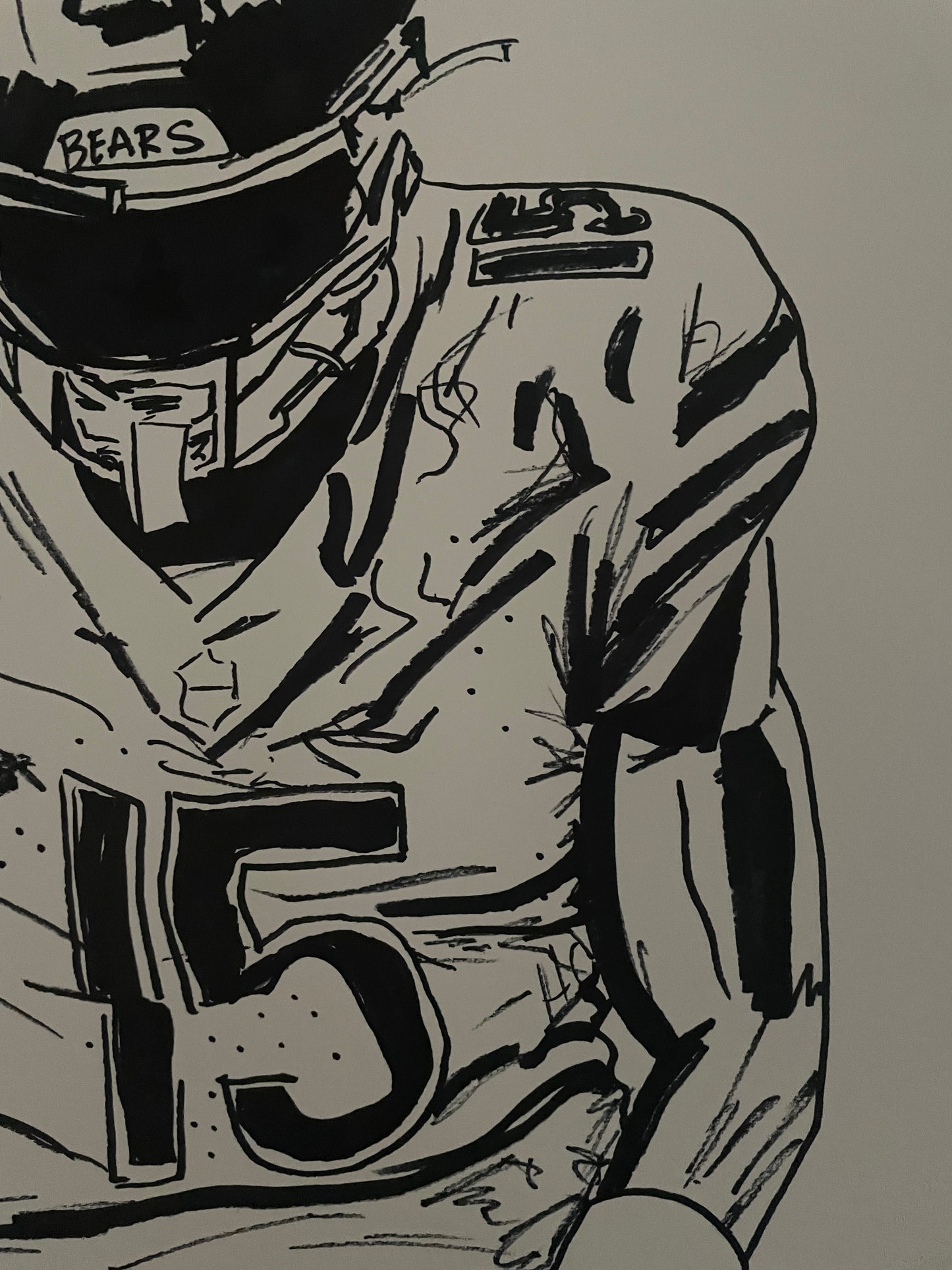 Bears - 15
